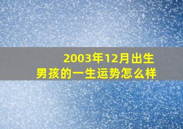 2003年12月出生男孩的一生运势怎么样