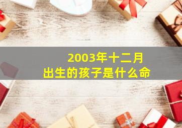 2003年十二月出生的孩子是什么命