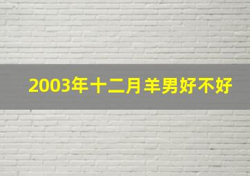 2003年十二月羊男好不好