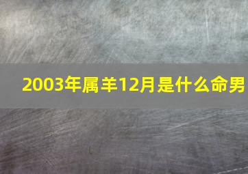 2003年属羊12月是什么命男