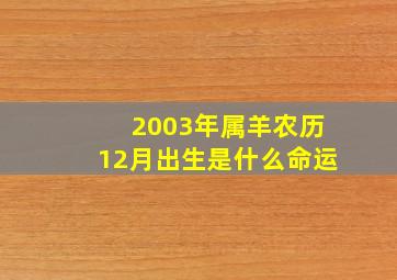 2003年属羊农历12月出生是什么命运