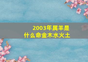 2003年属羊是什么命金木水火土