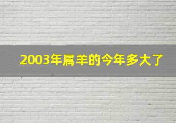 2003年属羊的今年多大了