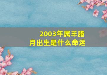 2003年属羊腊月出生是什么命运