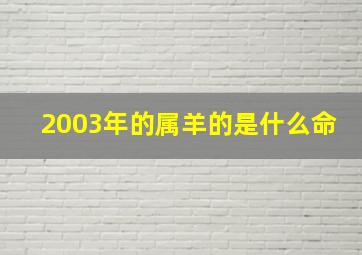 2003年的属羊的是什么命