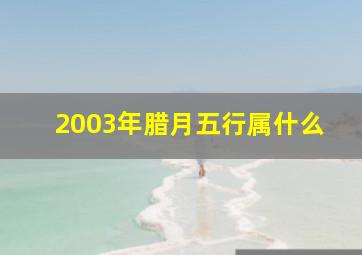 2003年腊月五行属什么