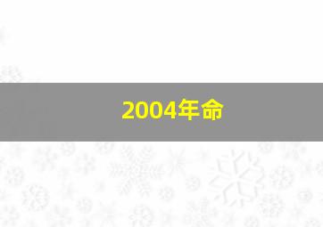 2004年命