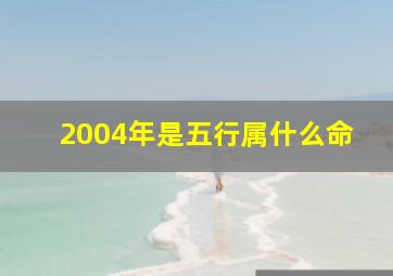 2004年是五行属什么命