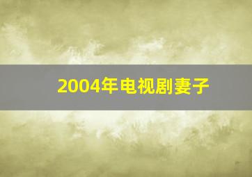 2004年电视剧妻子