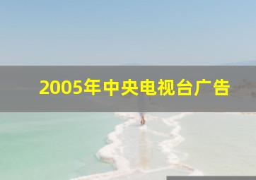 2005年中央电视台广告