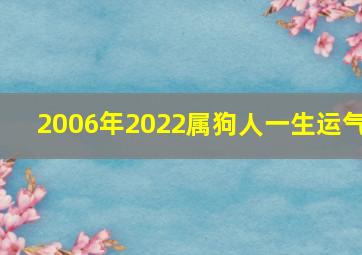 2006年2022属狗人一生运气