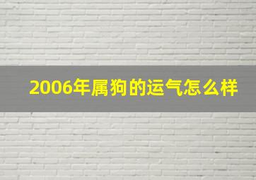 2006年属狗的运气怎么样