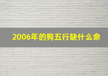 2006年的狗五行缺什么命