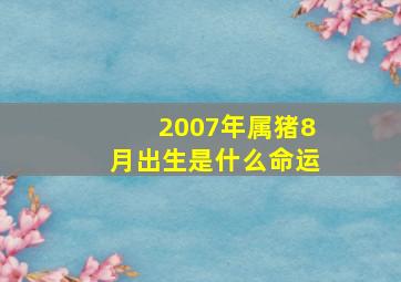 2007年属猪8月出生是什么命运