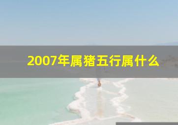 2007年属猪五行属什么