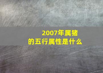 2007年属猪的五行属性是什么