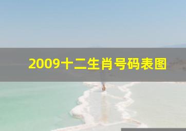 2009十二生肖号码表图