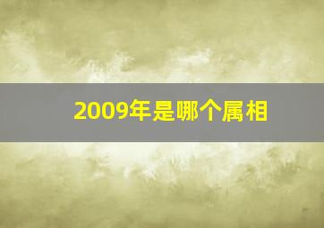 2009年是哪个属相