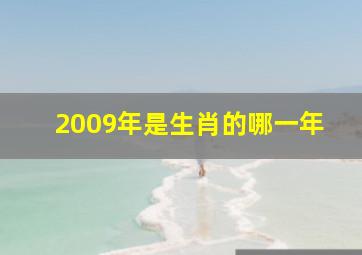 2009年是生肖的哪一年