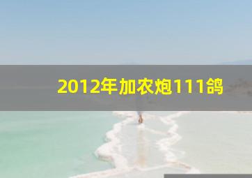 2012年加农炮111鸽