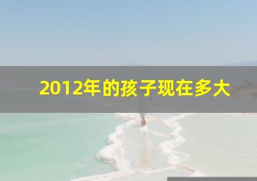 2012年的孩子现在多大