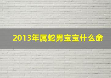 2013年属蛇男宝宝什么命