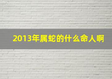 2013年属蛇的什么命人啊