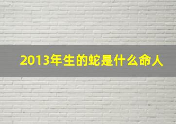 2013年生的蛇是什么命人