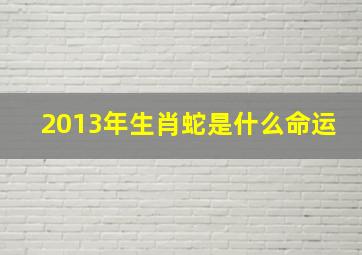 2013年生肖蛇是什么命运