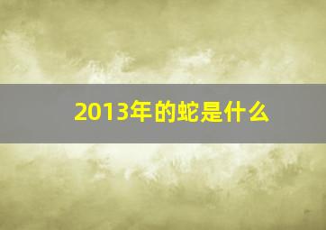 2013年的蛇是什么