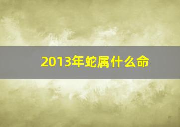 2013年蛇属什么命