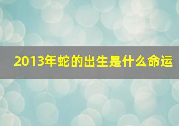 2013年蛇的出生是什么命运