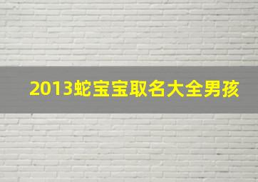 2013蛇宝宝取名大全男孩