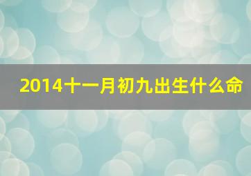 2014十一月初九出生什么命