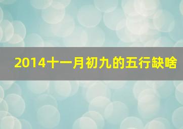 2014十一月初九的五行缺啥