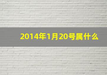 2014年1月20号属什么