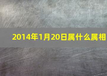 2014年1月20日属什么属相