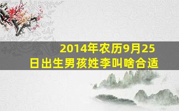 2014年农历9月25日出生男孩姓李叫啥合适