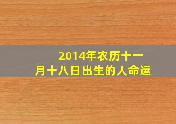 2014年农历十一月十八日出生的人命运