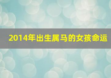 2014年出生属马的女孩命运