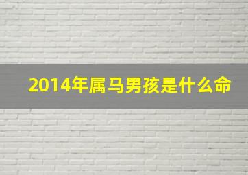 2014年属马男孩是什么命