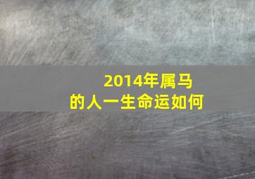 2014年属马的人一生命运如何