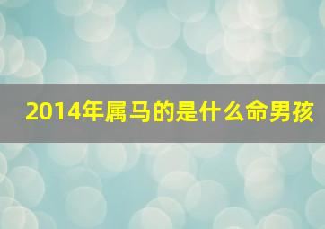 2014年属马的是什么命男孩