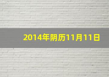 2014年阴历11月11日