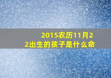 2015农历11月22出生的孩子是什么命