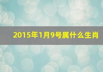 2015年1月9号属什么生肖