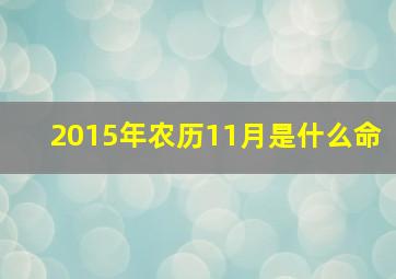 2015年农历11月是什么命