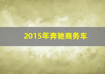 2015年奔驰商务车