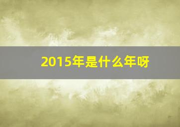 2015年是什么年呀