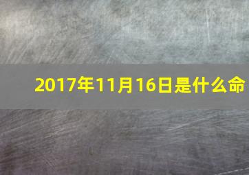 2017年11月16日是什么命